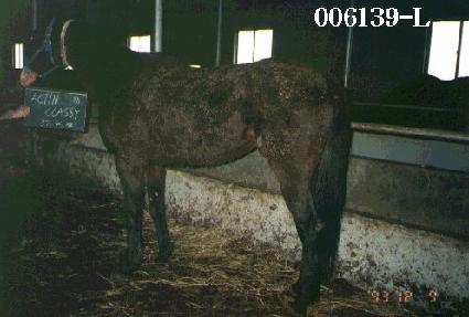 ��ƾũ���� ����