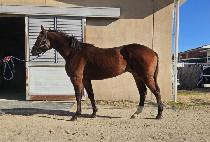 �ε������� (ROAD TO BIG BOY) ����