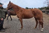 �����ö���Ʈ���� (TAKE FLIGHT NIGHT) ����