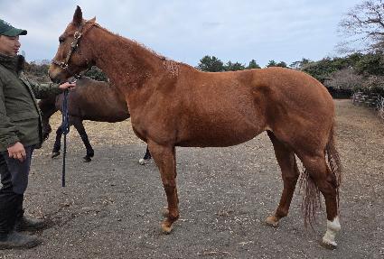 �����ö���Ʈ���� ����