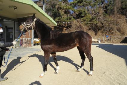 Ǫ���� ����