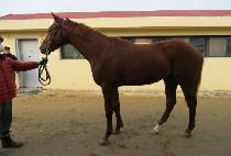 ����Ƽ���̹� (MIGHTY SAVER) ����