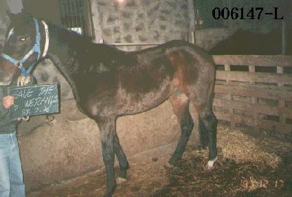 ���̺����Ʈ���� ����