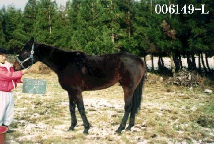 �ҽ���� ����