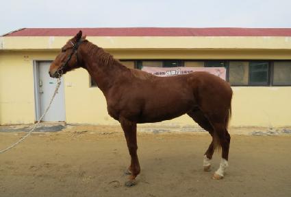 ����Ǯ������ ����