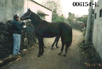 ����Ʈ�巹���忾 ����