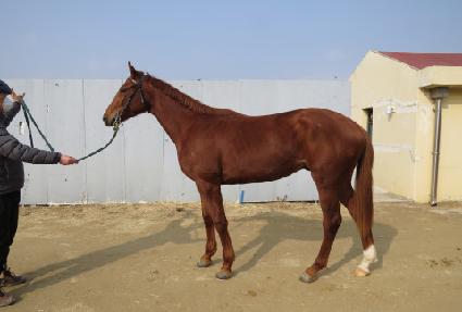 ����Ƽ�㽬 ����