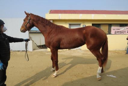 ����Ƽ��Ű ����