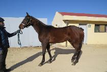 ����Ƽ����Ʈ (MIGHTY HIGHT) ����