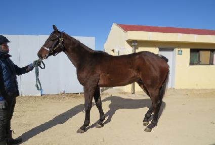 ����Ƽ����Ʈ ����