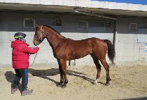 ���Ǿ (SPEARS) ����