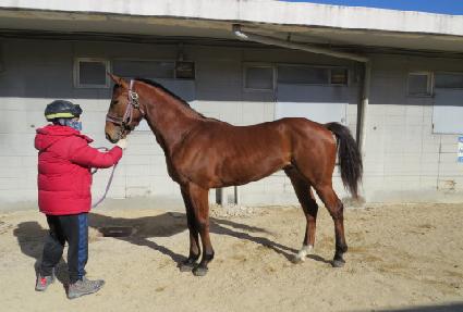 ���Ǿ ����