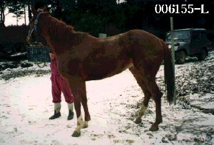 �ּ���Ÿ ����