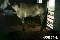 �����̵����̶��� (PRIDE OF MY LIFE) ����