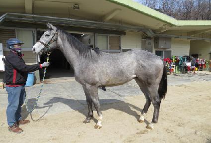 �������� ����