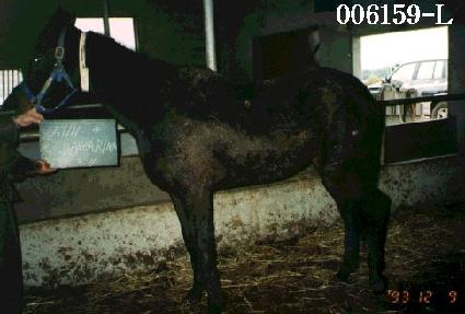 ��ƾ���ڸ��� ����