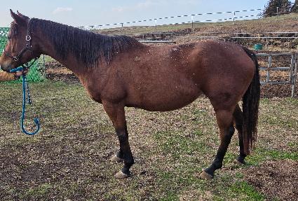 ũ����������ƾ ����