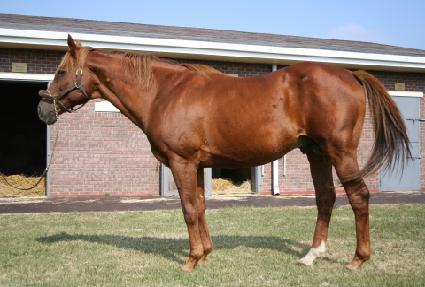 ����°���� ����