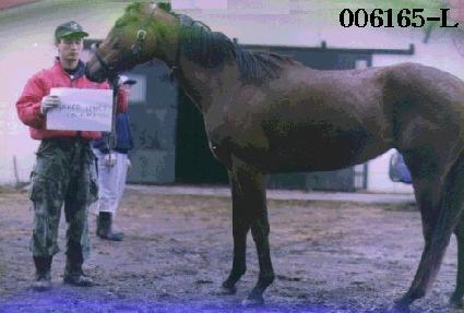 ��Ű�帮���� ����