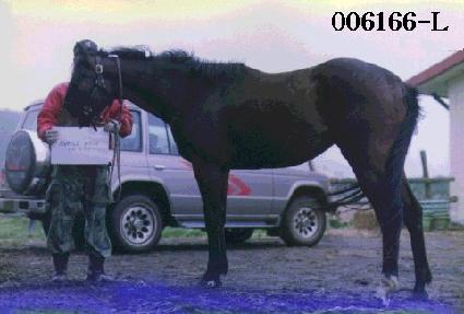 ��������ũ ����