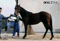 ���� (WON GWANG) ����