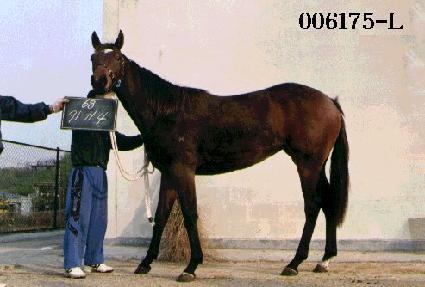 õ������ ����