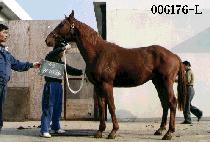 ������ (YU MYUNG SAN) ����