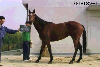 ���̴� ����