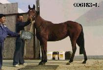 �⸳�ڼ� (GI RIP BAK SU) ����