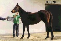 õ�� (CHEON JO) ����