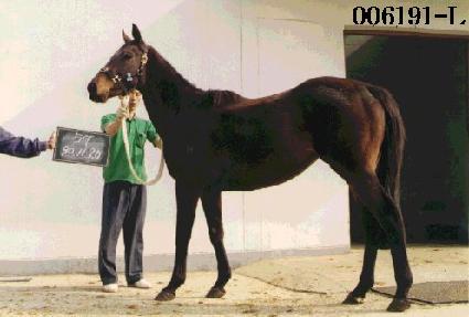 õ�� ����