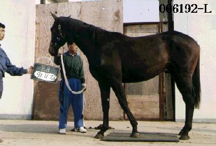 ���ʽ� ����