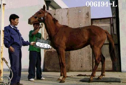 ���Ķ��� ����