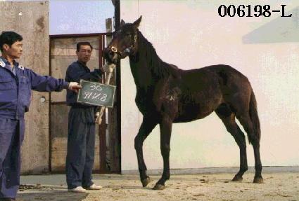 ��������� ����