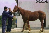 ���뱳 (GWANG TONG GYO) ����