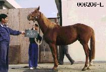 ū��� (KEUN GI DAE) ����