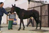 ��������� (SEOUL YUK BAEK NYUN) ����