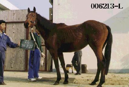 ���� ����