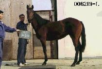 ������ (NAM GWANG JU) ����