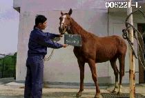 �ѹ�õ (HAN BAEK CHEON) ����