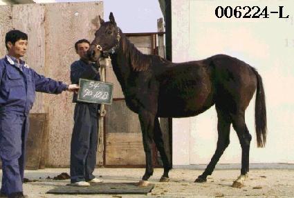 ��ũ ����