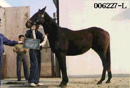 �޺��ٶ� ����