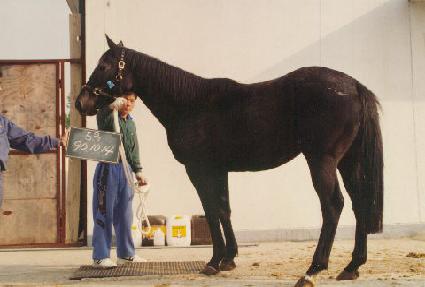 �¸��ǹ̼� ����