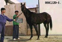 �������۴� (ONE STEP FURTHER) ����