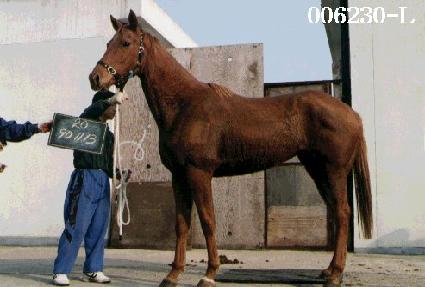 ������Ÿ ����