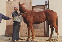 ������ (MA OK SAN) ����