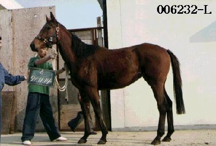 ���̿� ����