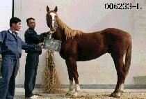 ����� (YONG BONG SAN) ����