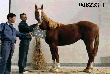 ����� ����