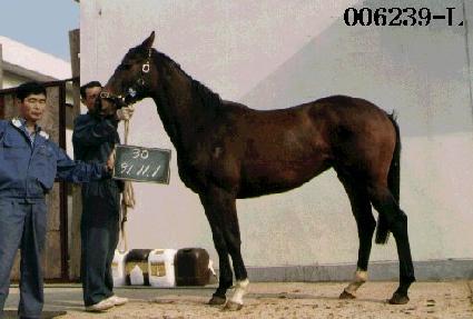 ��츶���� ����